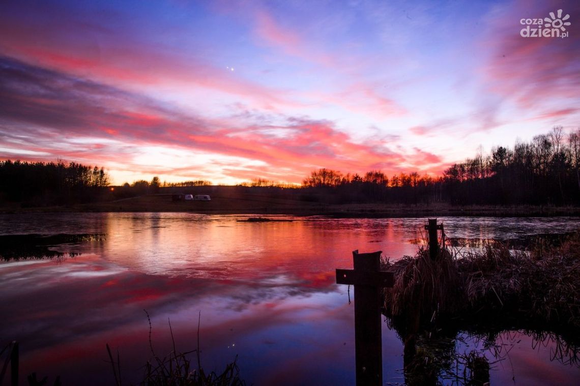Rozpoczęło się astronomiczne lato – co to oznacza i na co warto zwrócić uwagę?