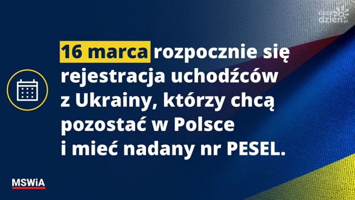 Rozpoczęło się nadawanie nr PESEL uchodźcom Rozpoczęło się nadawanie nr PESEL uchodźcom