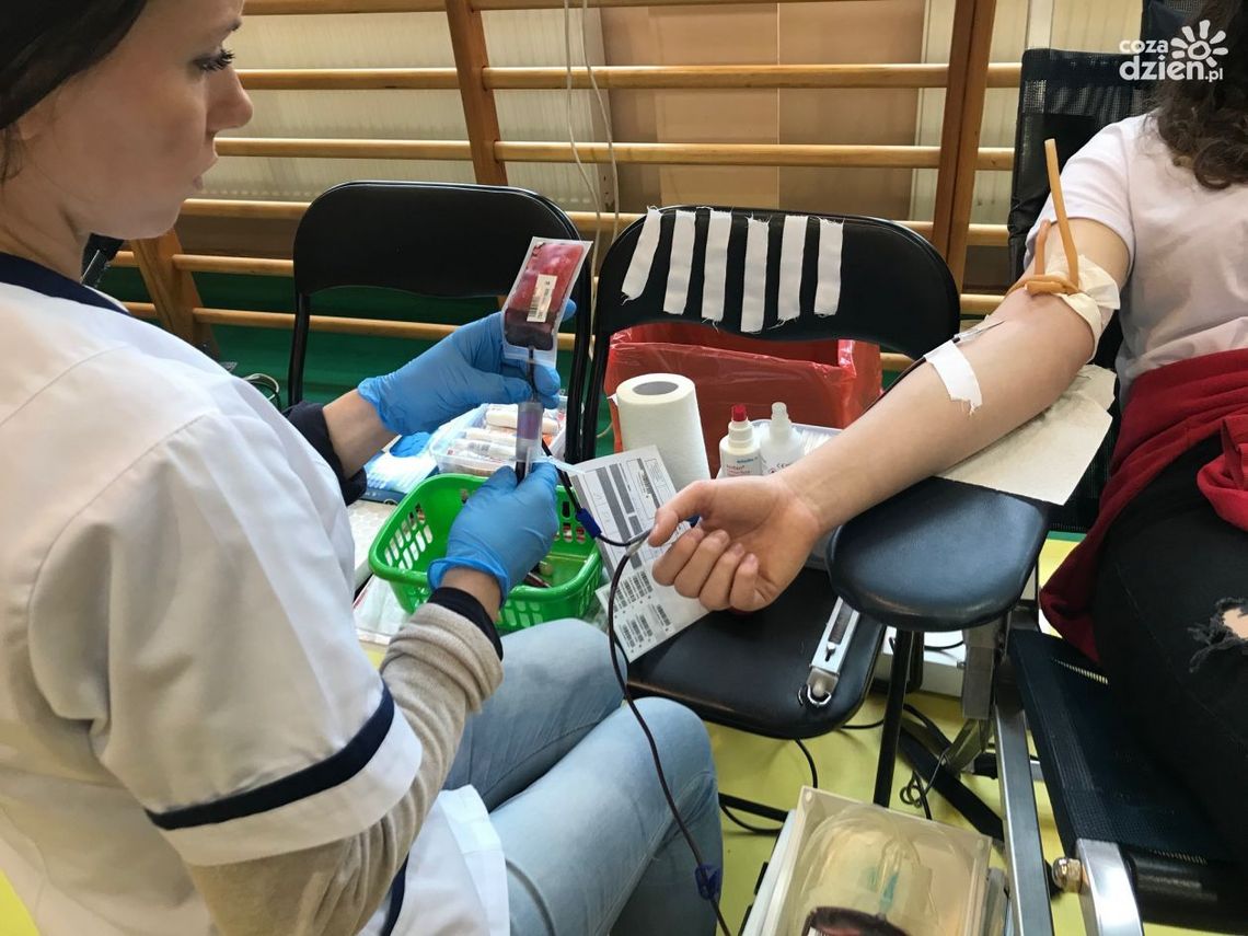 Rozpoczęły się wyjazdowe akcje honorowego oddawania krwi Rozpoczęły się wyjazdowe akcje honorowego oddawania krwi