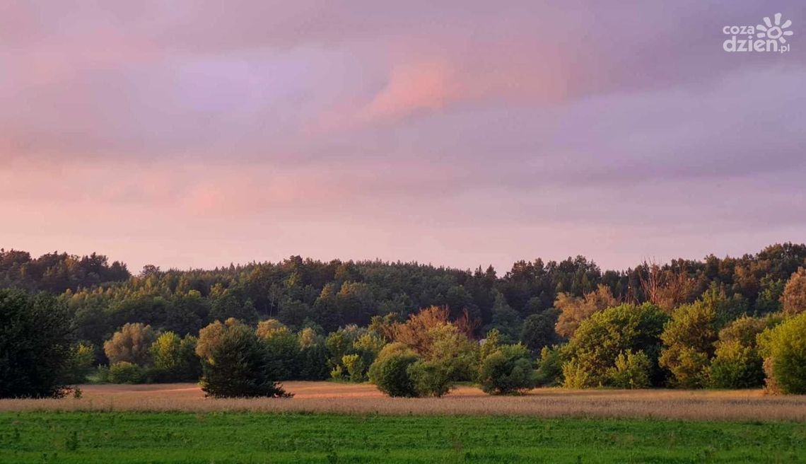 Rudzki Park Kulturowy chce dbać nie tylko o zabytek UNESCO ale też o lokalne dziedzictwo Rudzki Park Kulturowy chce dbać nie tylko o zabytek UNESCO ale też o lokalne dziedzictwo