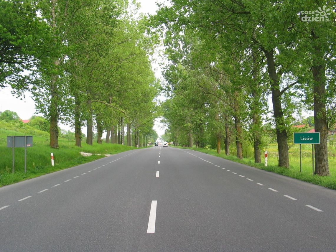 Rusza budowa zatok autobusowych na DK73 w Lisowie – zmiany w organizacji ruchu Rusza budowa zatok autobusowych na DK73 w Lisowie – zmiany w organizacji ruchu