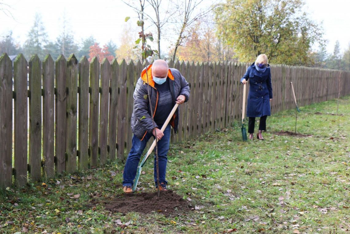 Ruszyła akcja sadzenia drzew i krzewów miododajnych w świętokrzyskim