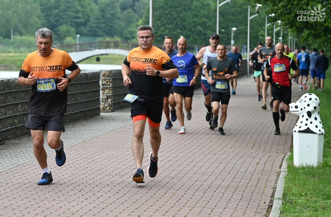 Ruszyły zapisy do 3. rundy XII MosirGutwinRun 2024!
Ruszyły zapisy do 3. rundy XII MosirGutwinRun 2024!