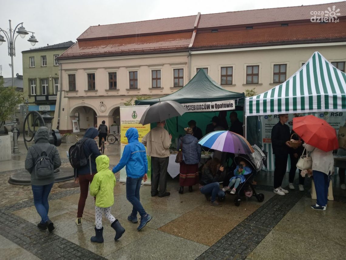 Rzemiosło na Rynku Rzemiosło na Rynku