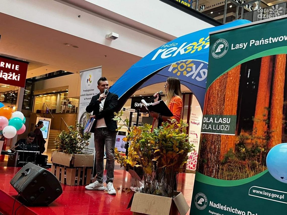 Sadzimy drzewa Sadzimy drzewa