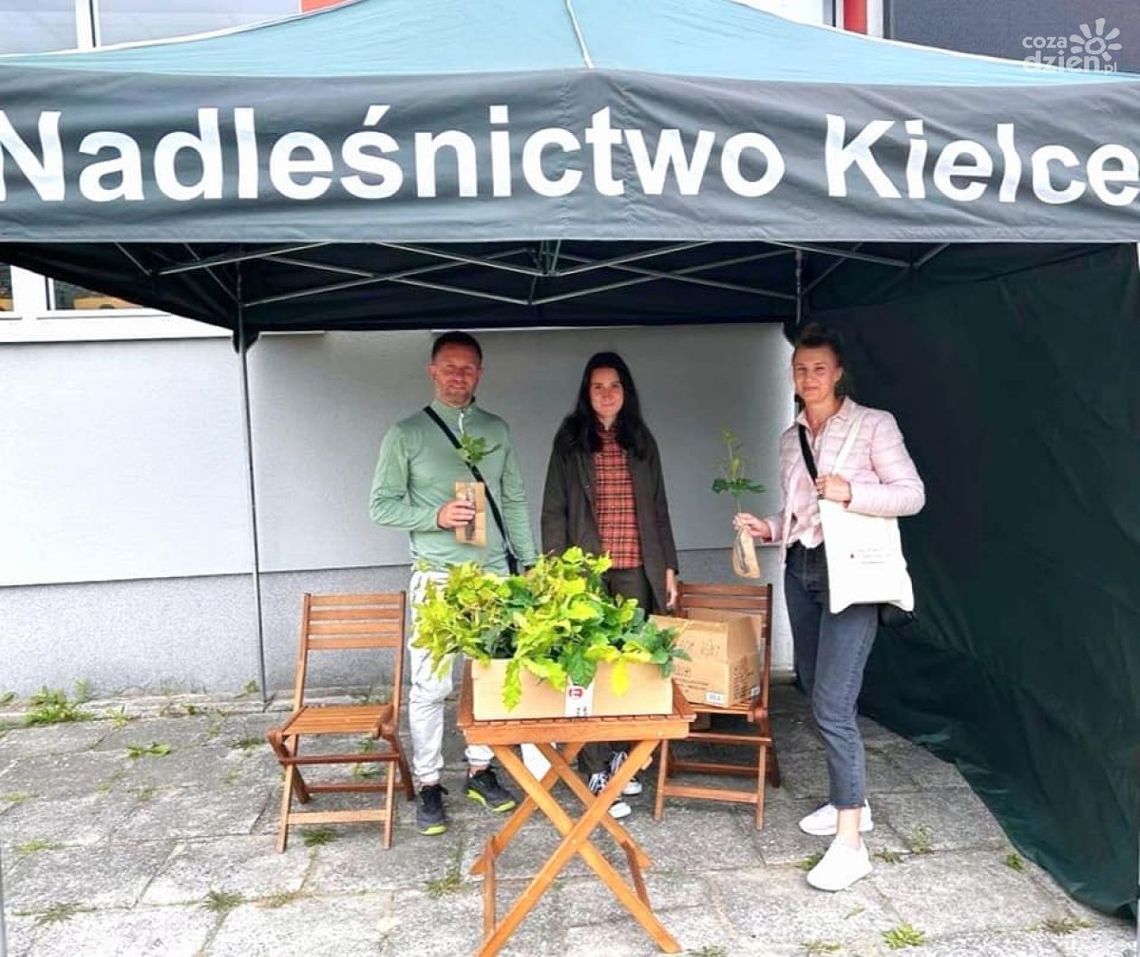 Sadzonka za życie Sadzonka za życie