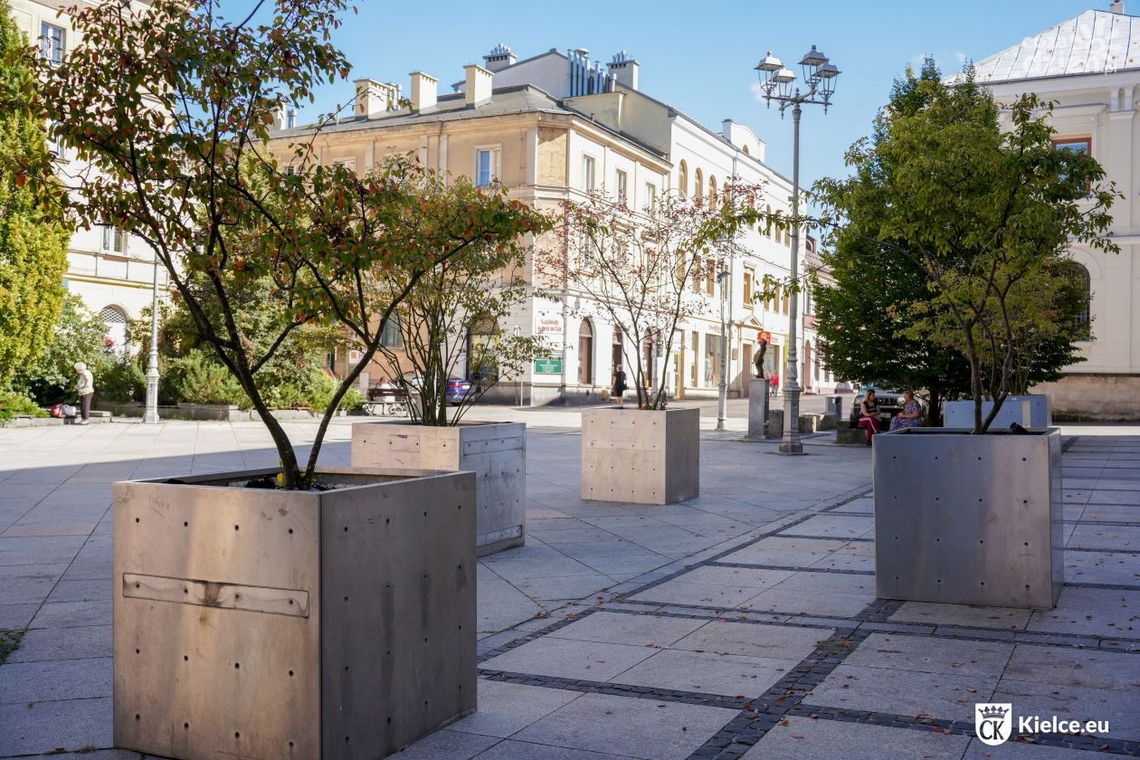 Salon Miejski zostanie przeniesiony na Plac Literatów