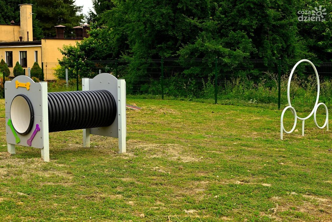 Sandomierskie czworonogi mają miejski wybieg Sandomierskie czworonogi mają miejski wybieg