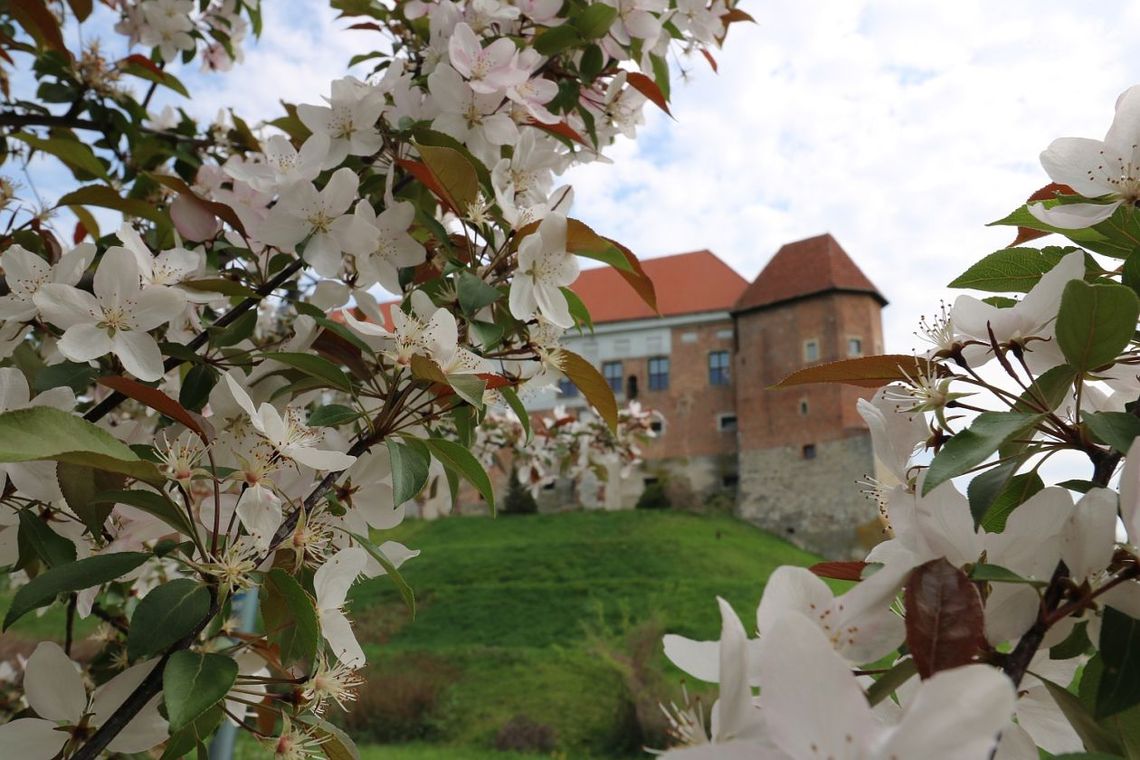 Sandomierz zaprasza do odwiedzin Muzeum Zamkowego 