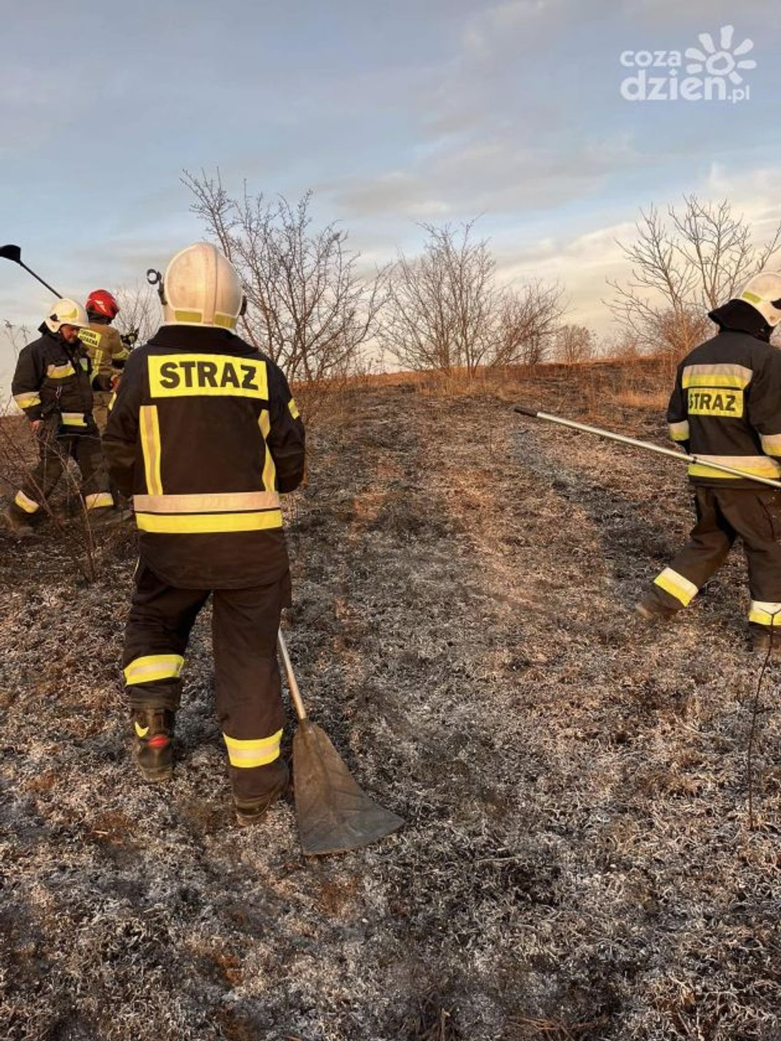 Sarna spłonęła w pożarze w Szeligach