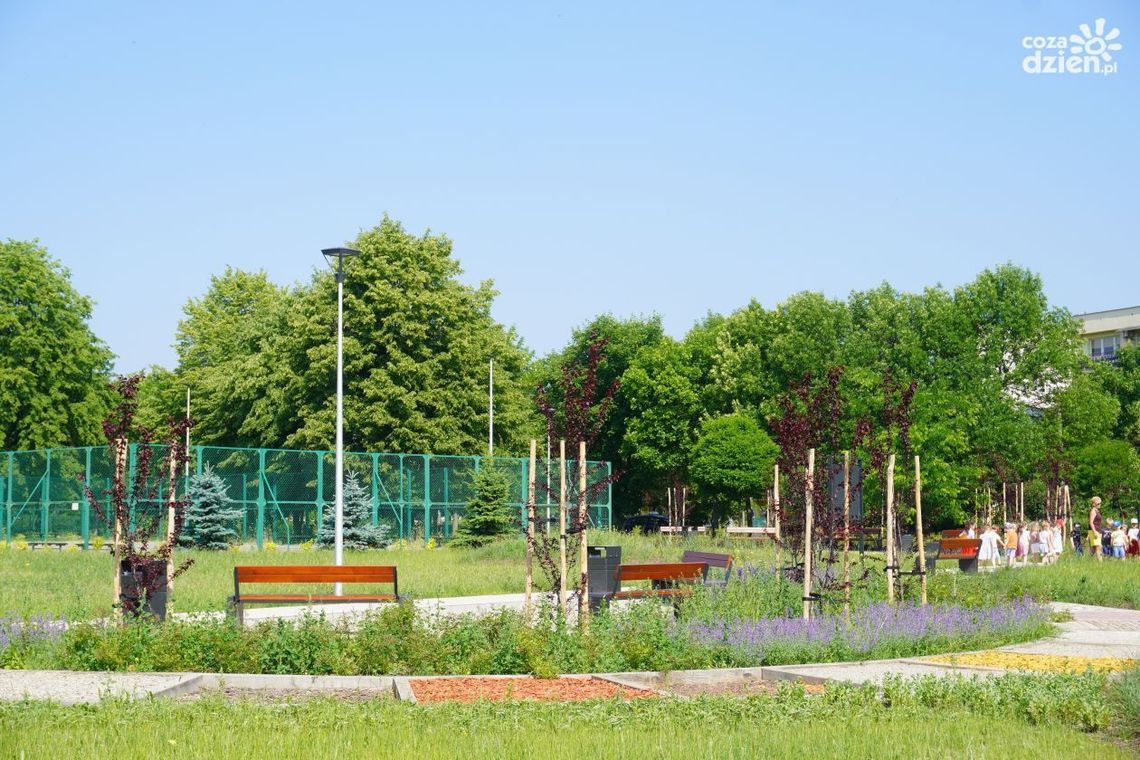 Sentymentalna podróż po Osiedlu Ogrody 