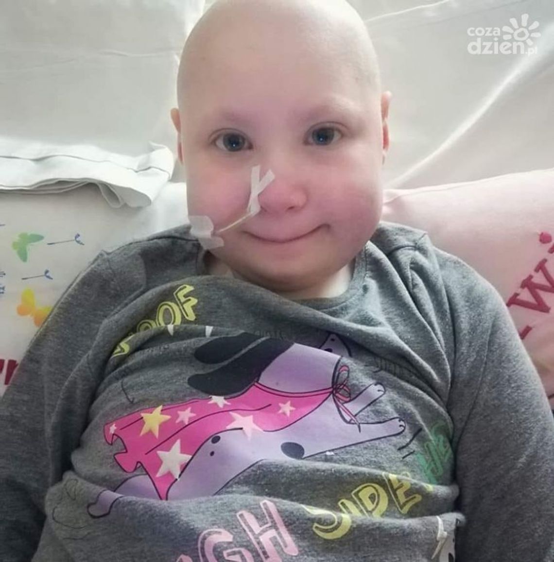 Sercem dla dzielnej Oliwki Sercem dla dzielnej Oliwki