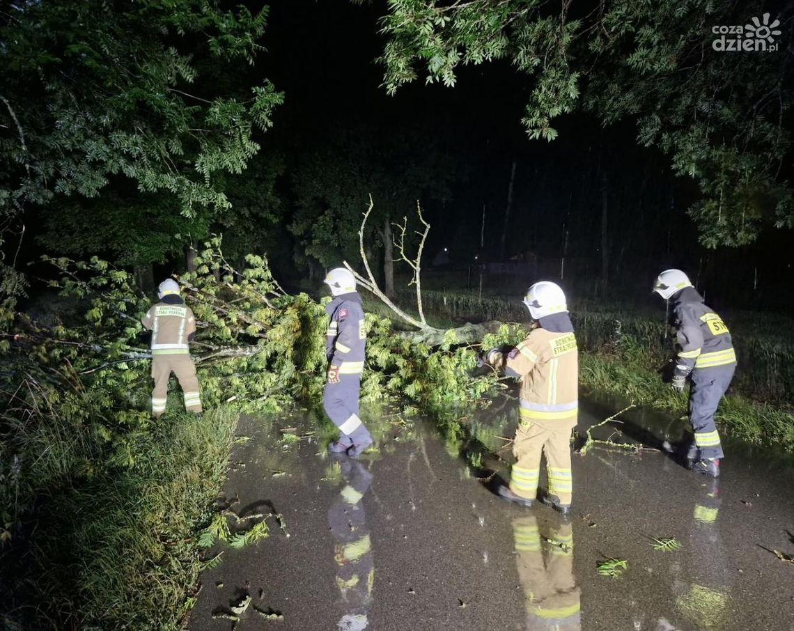 Setki interwencji straży po gwałtownej burzy Setki interwencji straży po gwałtownej burzy