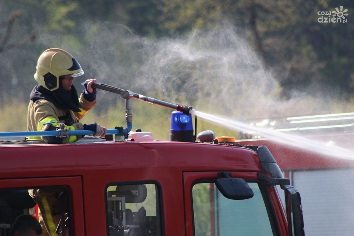 Silny wiatr sparaliżował region. Ponad 150 interwencji strażaków Silny wiatr sparaliżował region. Ponad 150 interwencji strażaków