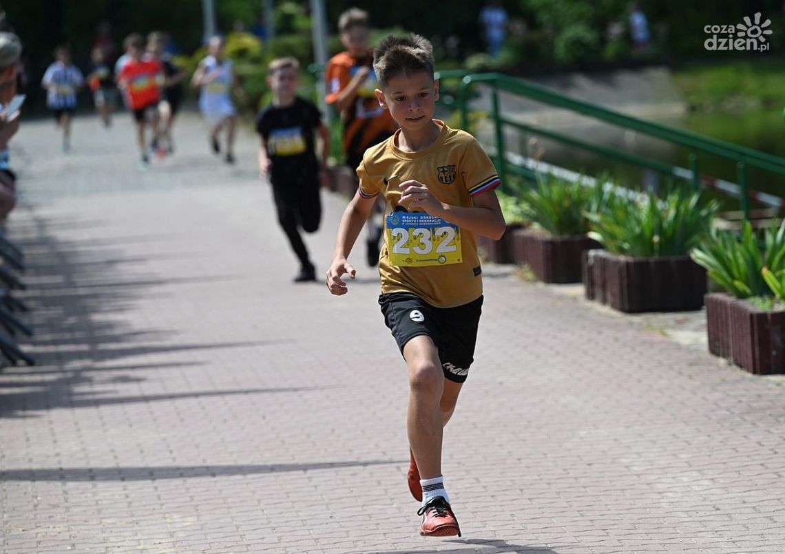 Siódemka wygrywa Indywidualne Biegi Przełajowe Szkół Podstawowych
Siódemka wygrywa Indywidualne Biegi Przełajowe Szkół Podstawowych