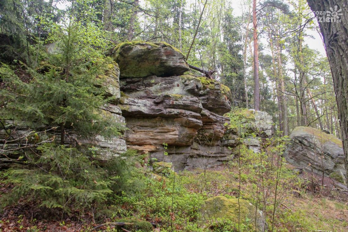 Skały pod Adamowem - Zdjęcia Skały pod Adamowem - Zdjęcia