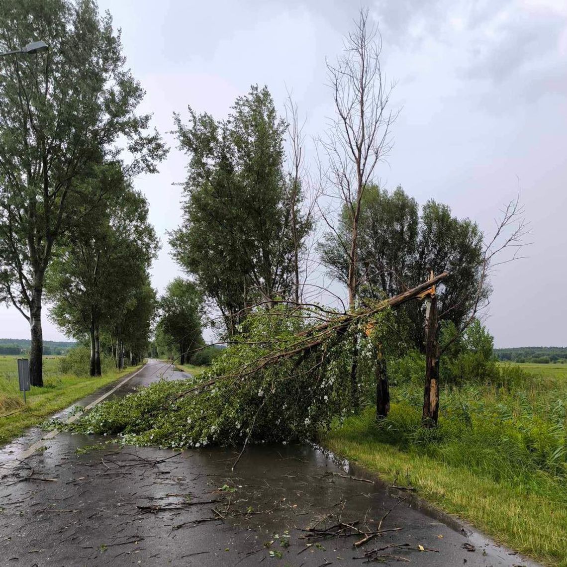Skutki burz w Świętokrzyskiem. Ranne uczestniczki pielgrzymki 29947