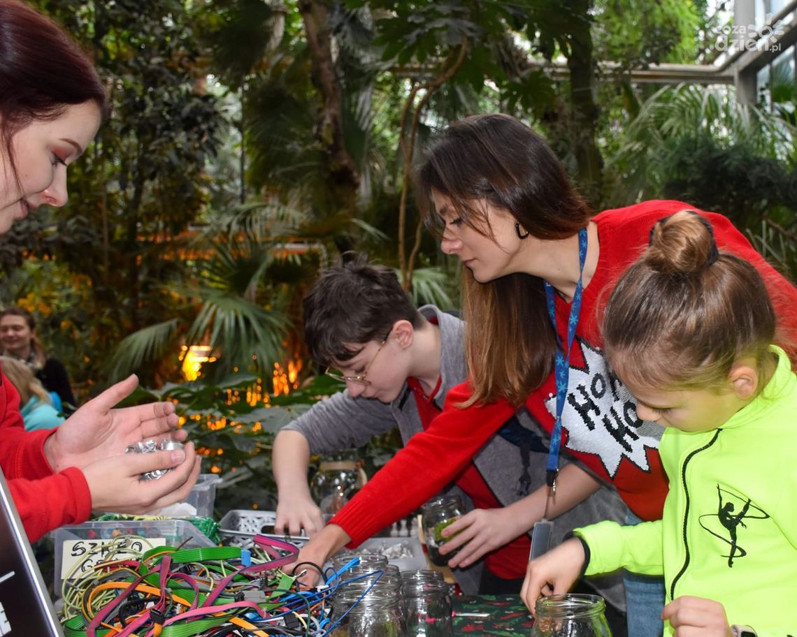 SMART edukacja na pierwszy dzień wiosny SMART edukacja na pierwszy dzień wiosny