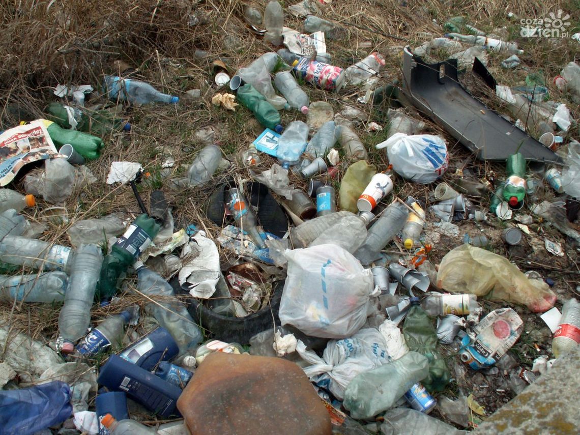 Śmieci mogą słono kosztować. Wysokie kary dla przedsiębiorców. Śmieci mogą słono kosztować. Wysokie kary dla przedsiębiorców.
