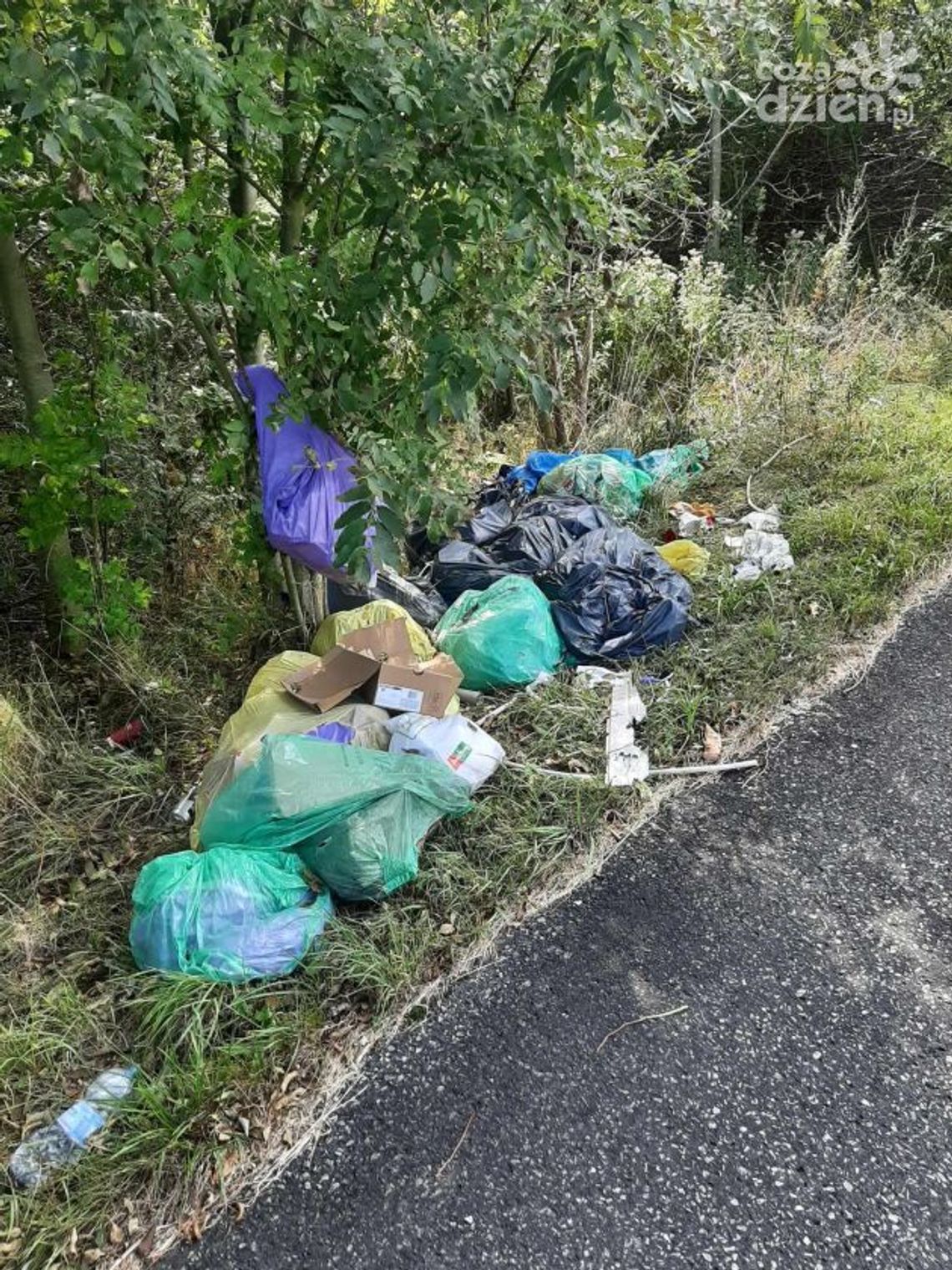 Śmieci nie w tym miejscu co potrzeba Śmieci nie w tym miejscu co potrzeba