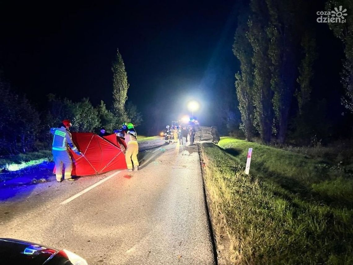 Śmiertelny wypadek w Bogorii. Nie żyje 19-latka. Śmiertelny wypadek w Bogorii. Nie żyje 19-latka.