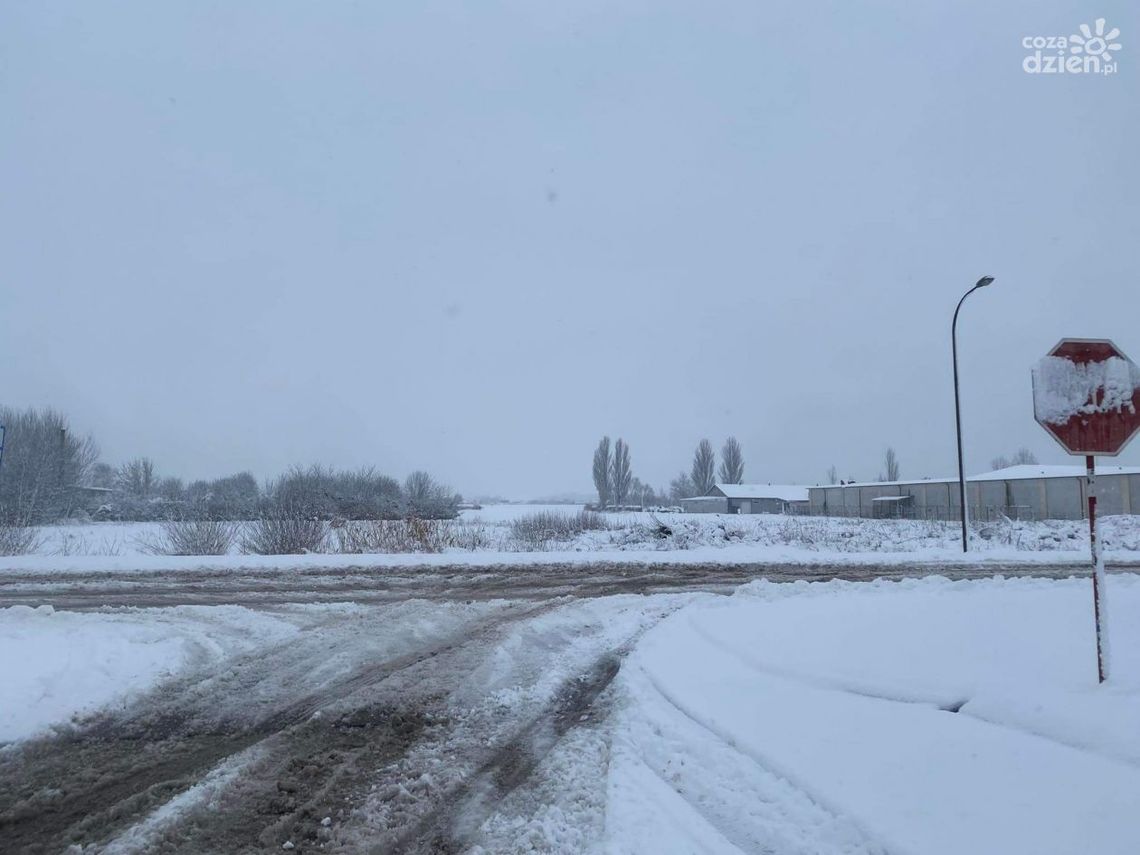 Śnieg paraliżuje miasto Śnieg paraliżuje miasto