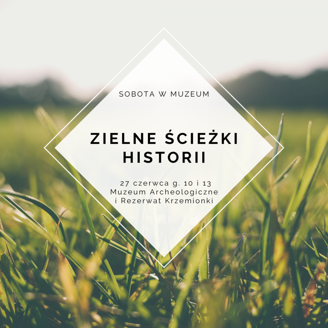 Sobota w muzeum: Zielne ścieżki historii Sobota w muzeum: Zielne ścieżki historii