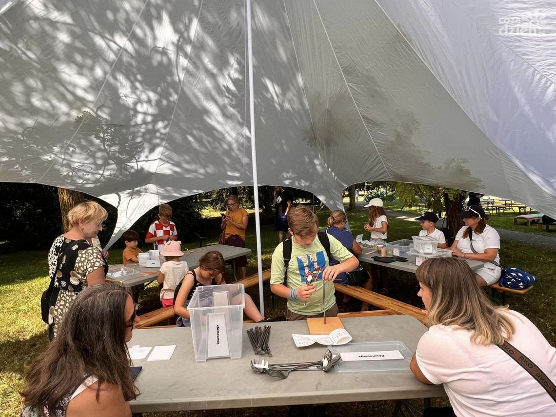 SOWA jest w ostrowieckim parku miejskim SOWA jest w ostrowieckim parku miejskim