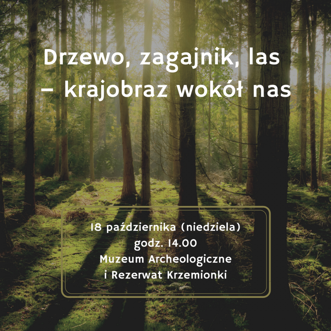 Spacer krajobrazowy dobrą opcją na niedzielę Spacer krajobrazowy dobrą opcją na niedzielę