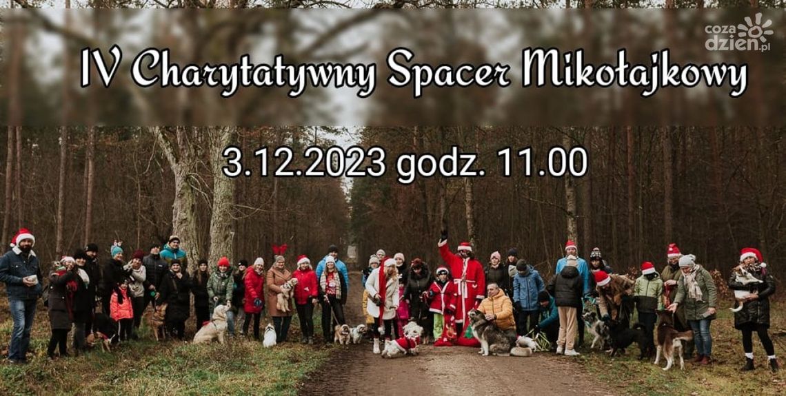 Spacer z czworonogami z charytatywnym przesłaniem Spacer z czworonogami z charytatywnym przesłaniem