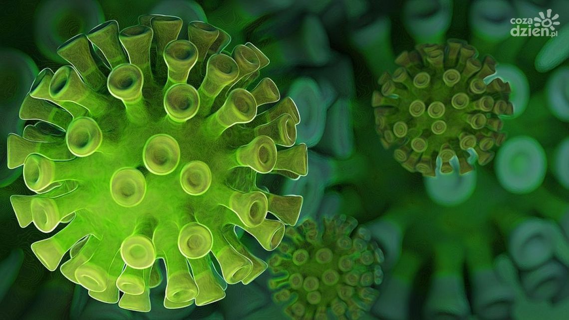 Spadek liczby zakażeń w świętokrzyskim