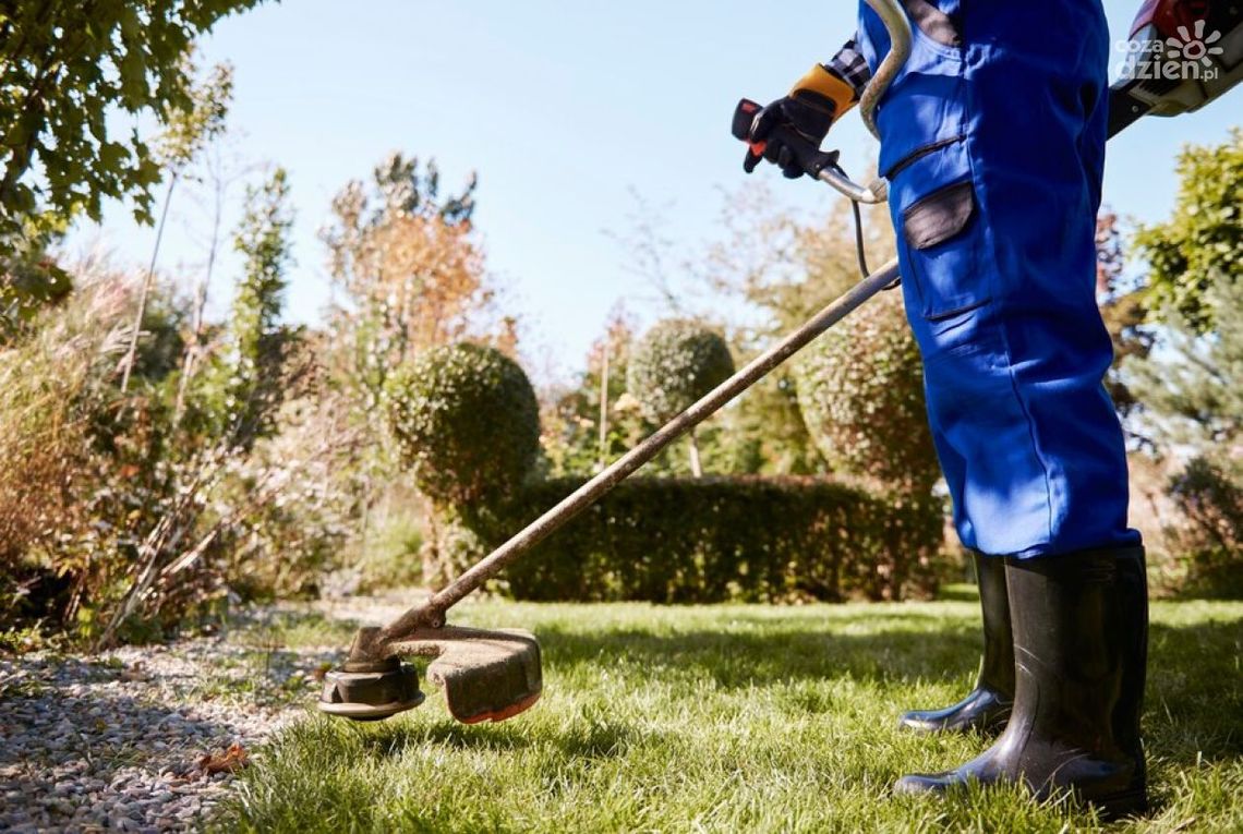 Spółdzielnie socjalne szansą na pracę dla wykluczonych społecznie Spółdzielnie socjalne szansą na pracę dla wykluczonych społecznie