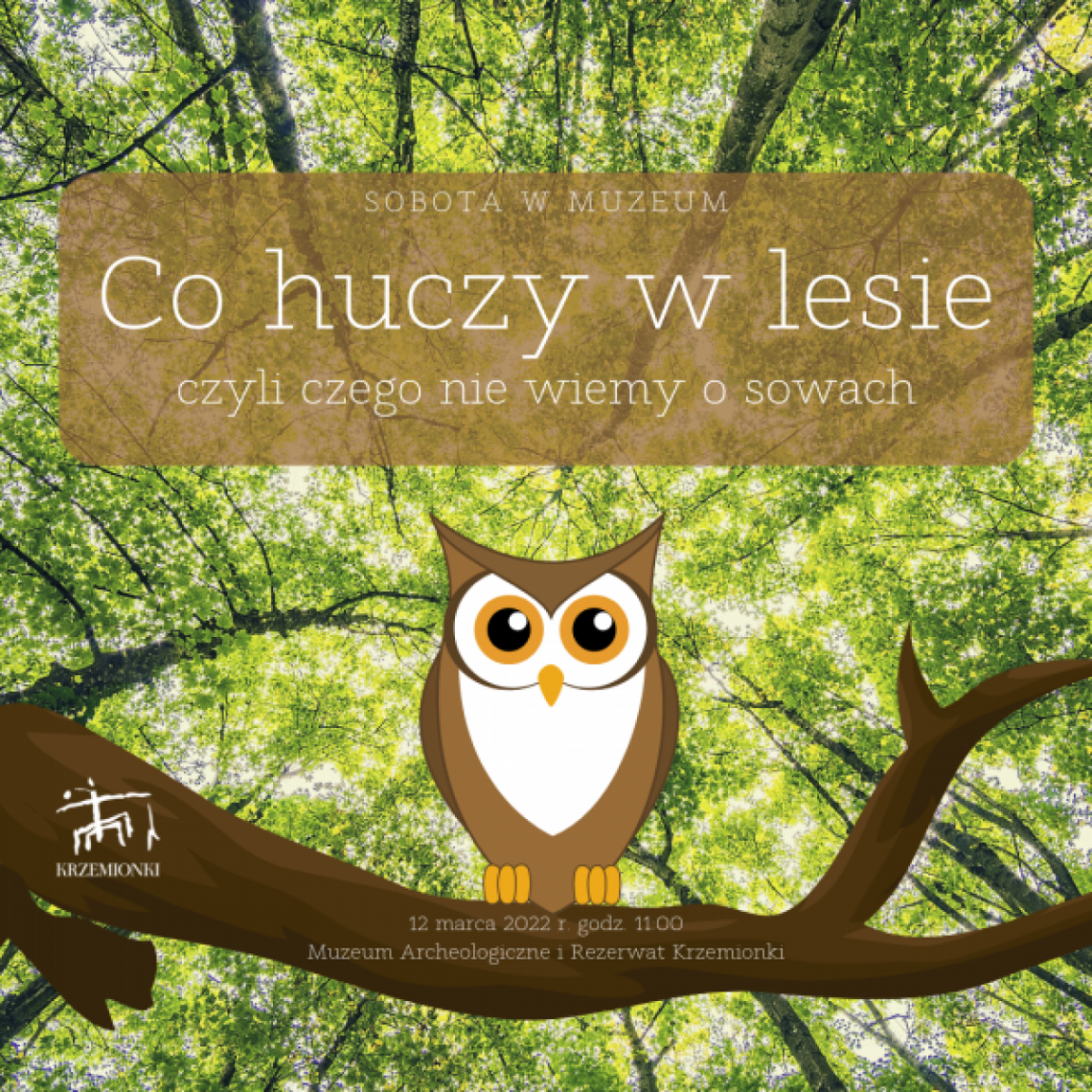 Spotkanie z sowami Spotkanie z sowami