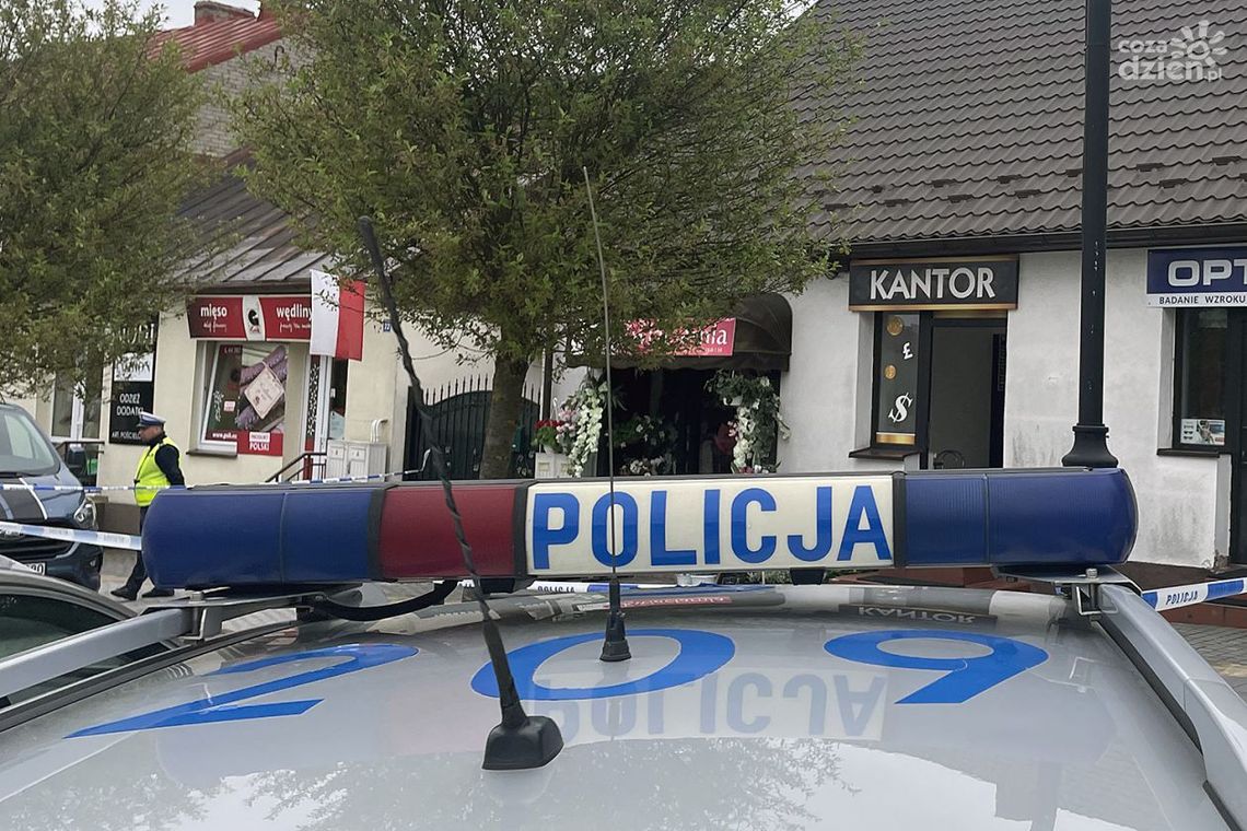 Sprawcy kradzieży Sprawcy kradzieży