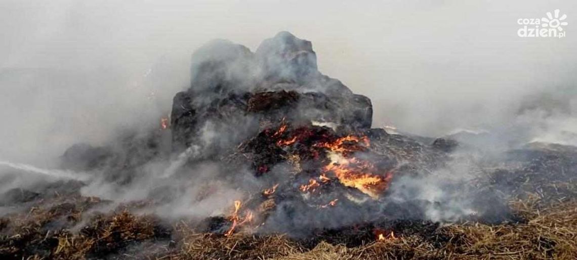Sprawcy podpaleń słomy zatrzymani - zrobili to z gniewu Sprawcy podpaleń słomy zatrzymani - zrobili to z gniewu