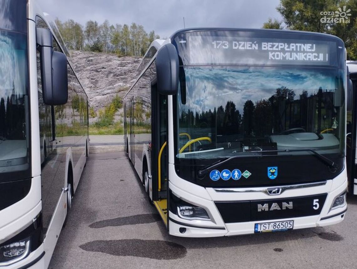 Starachowice: Bezpłatna komunikacja zyskuje dużą popularność Starachowice: Bezpłatna komunikacja zyskuje dużą popularność