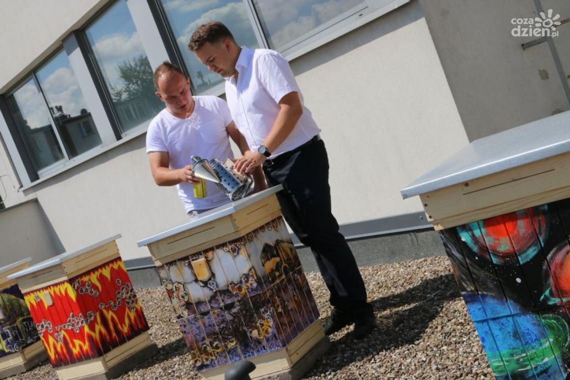 Starachowice mają miejską pasiekę