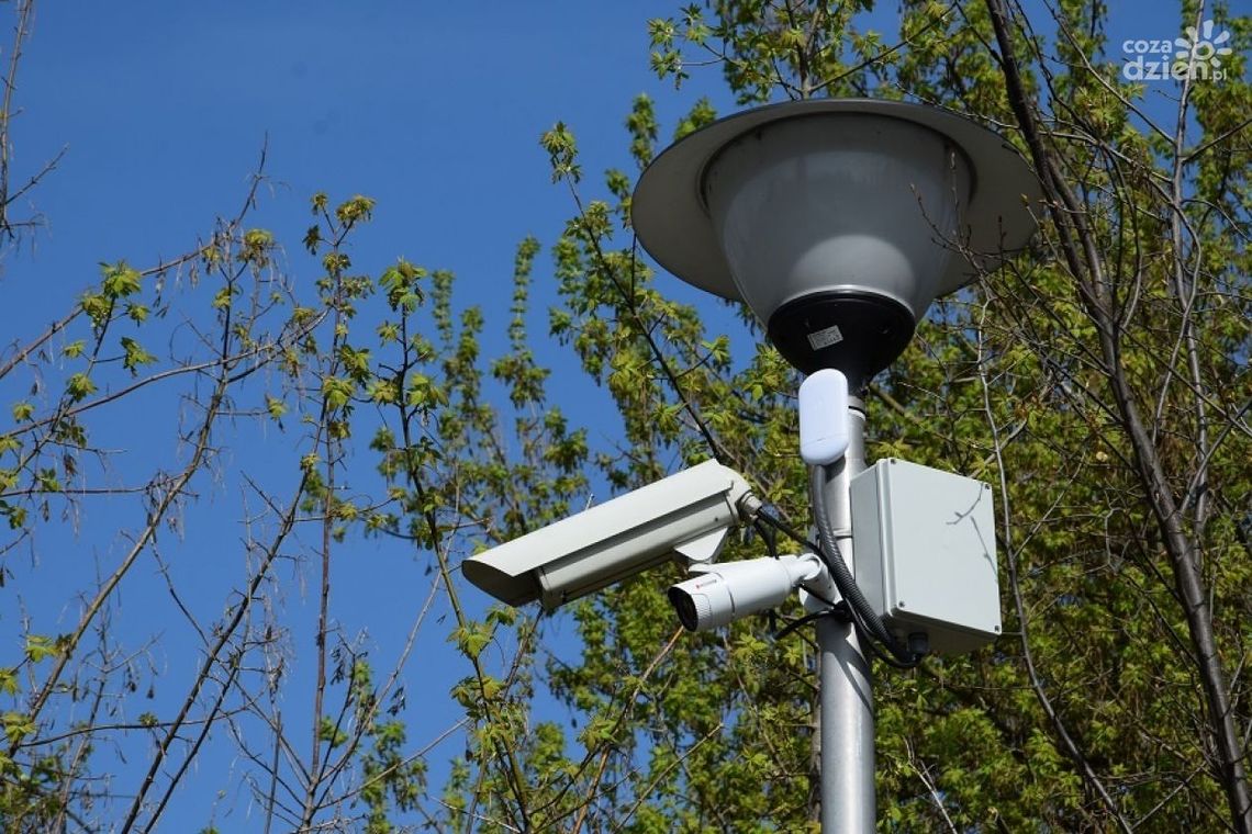 Staw w oku kamery Staw w oku kamery