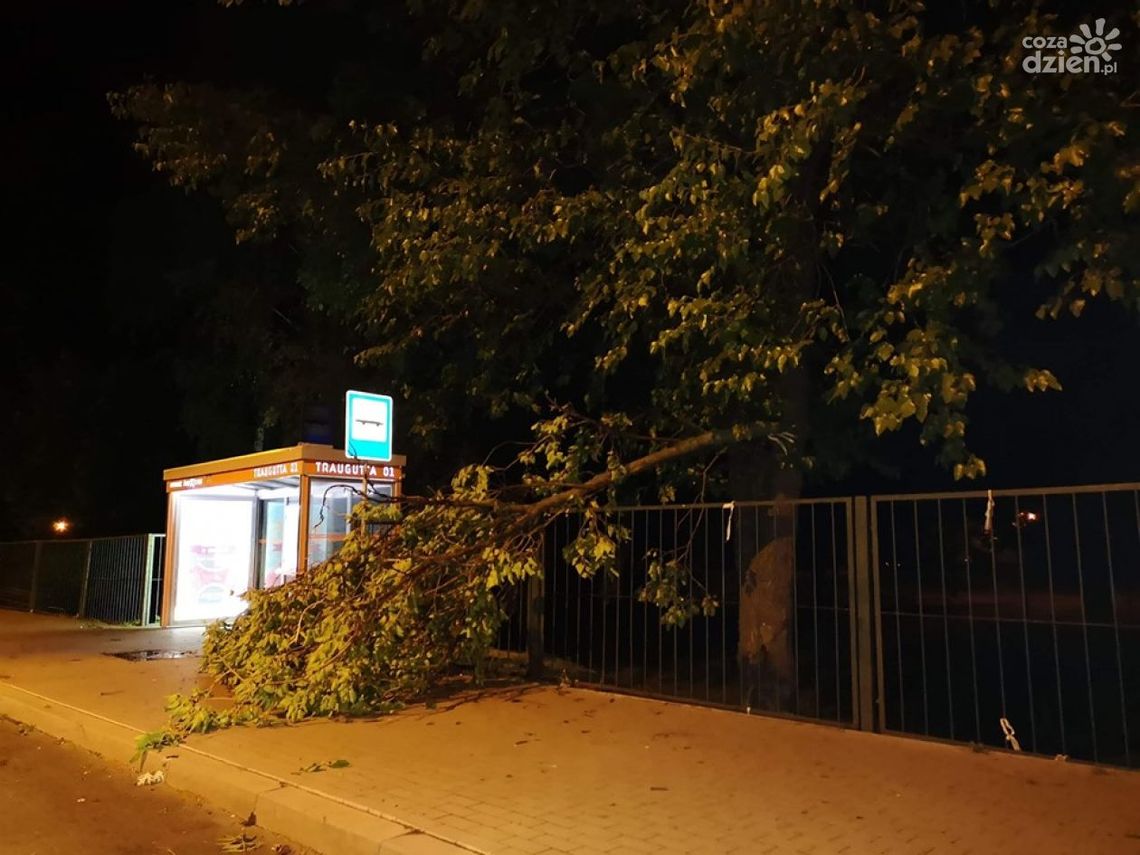 Straty po burzy są duże Straty po burzy są duże