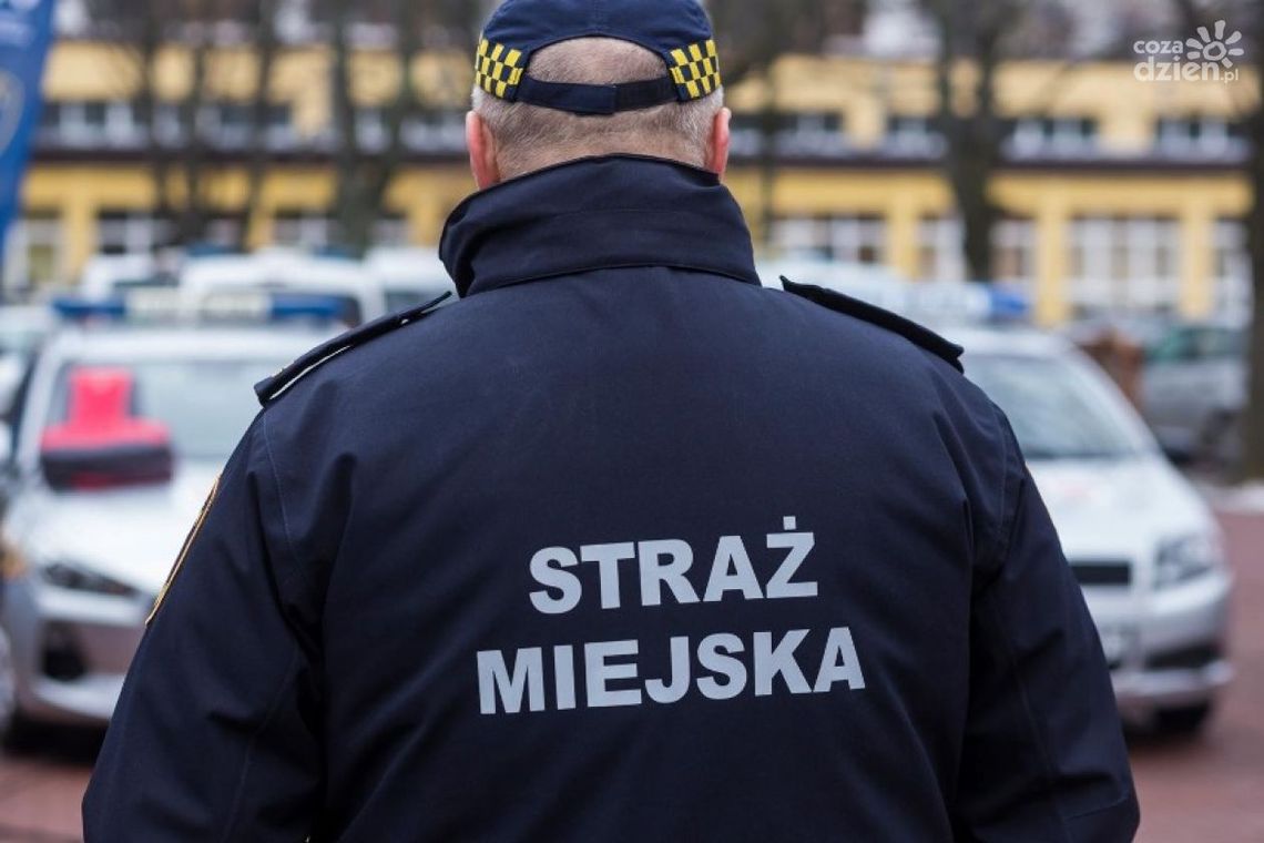 Straż Miejska zyska dodatkowe uprawnienia Straż Miejska zyska dodatkowe uprawnienia