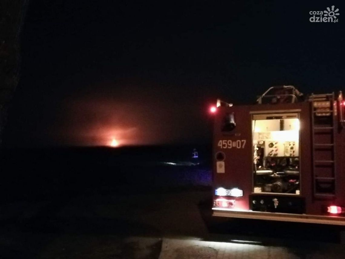 Strażacy gasili pożary i sprawdzali instalację gazową Strażacy gasili pożary i sprawdzali instalację gazową