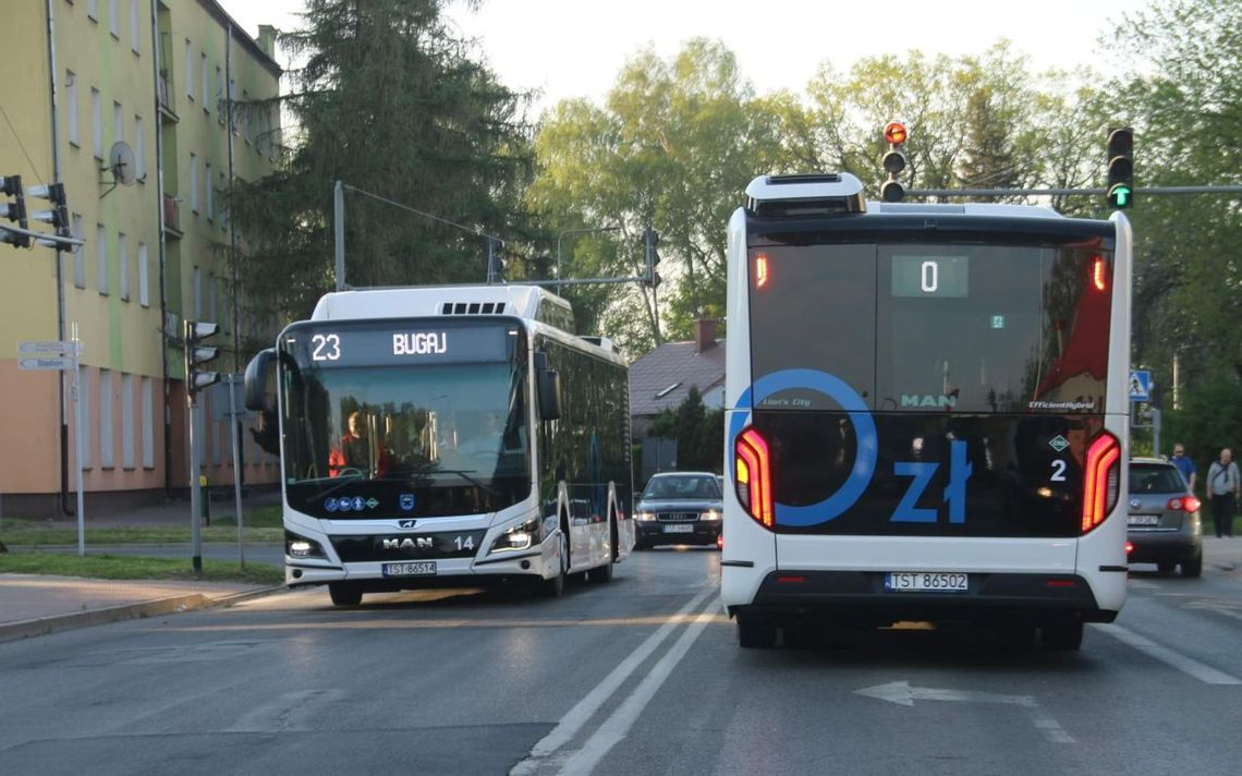 Sukces bezpłatnej miejskiej komunikacji w Starachowicach Sukces bezpłatnej miejskiej komunikacji w Starachowicach
