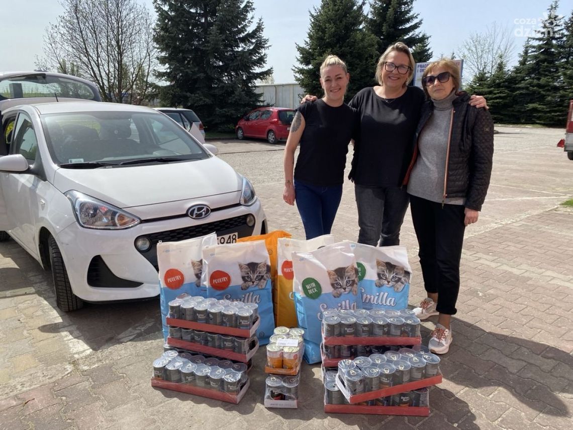 Sukces charytatywnej akcji dla zwierzaków Sukces charytatywnej akcji dla zwierzaków