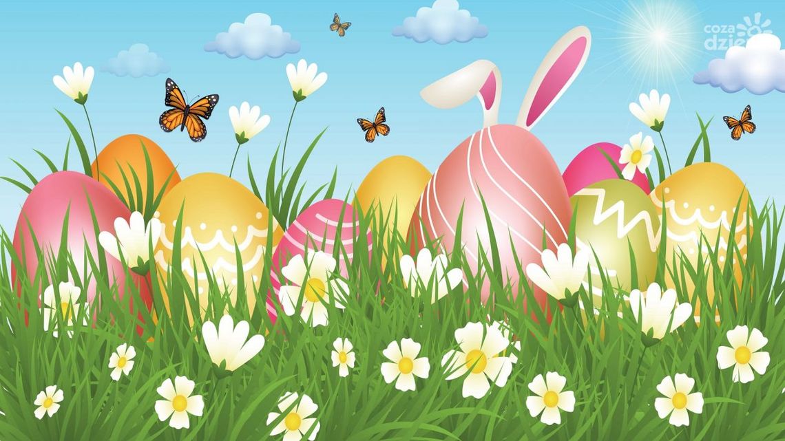 Świąteczne konkursy na jajko i palmę wielkanocną organizuje ostrowieckie MCK Świąteczne konkursy na jajko i palmę wielkanocną organizuje ostrowieckie MCK