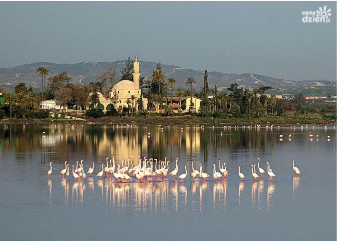 Świąteczny City Break na Cyprze. Nowe Połączenie z Lotniska Warszawa-Radom z WizzAir