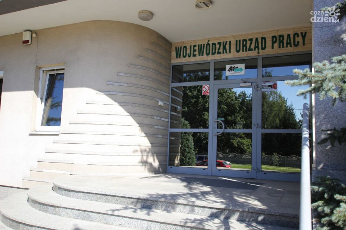 Światowy tydzień przedsiębiorczości