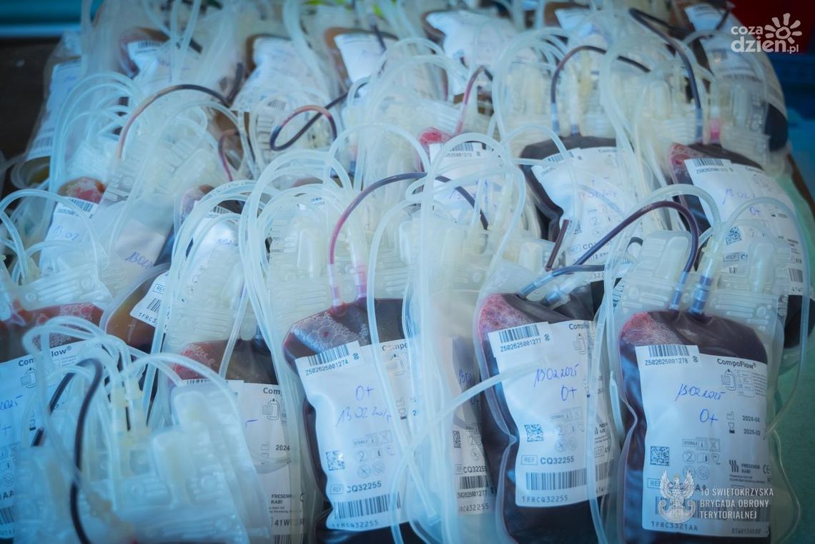 Świętokrzyscy terytorialsi oddali krew Świętokrzyscy terytorialsi oddali krew