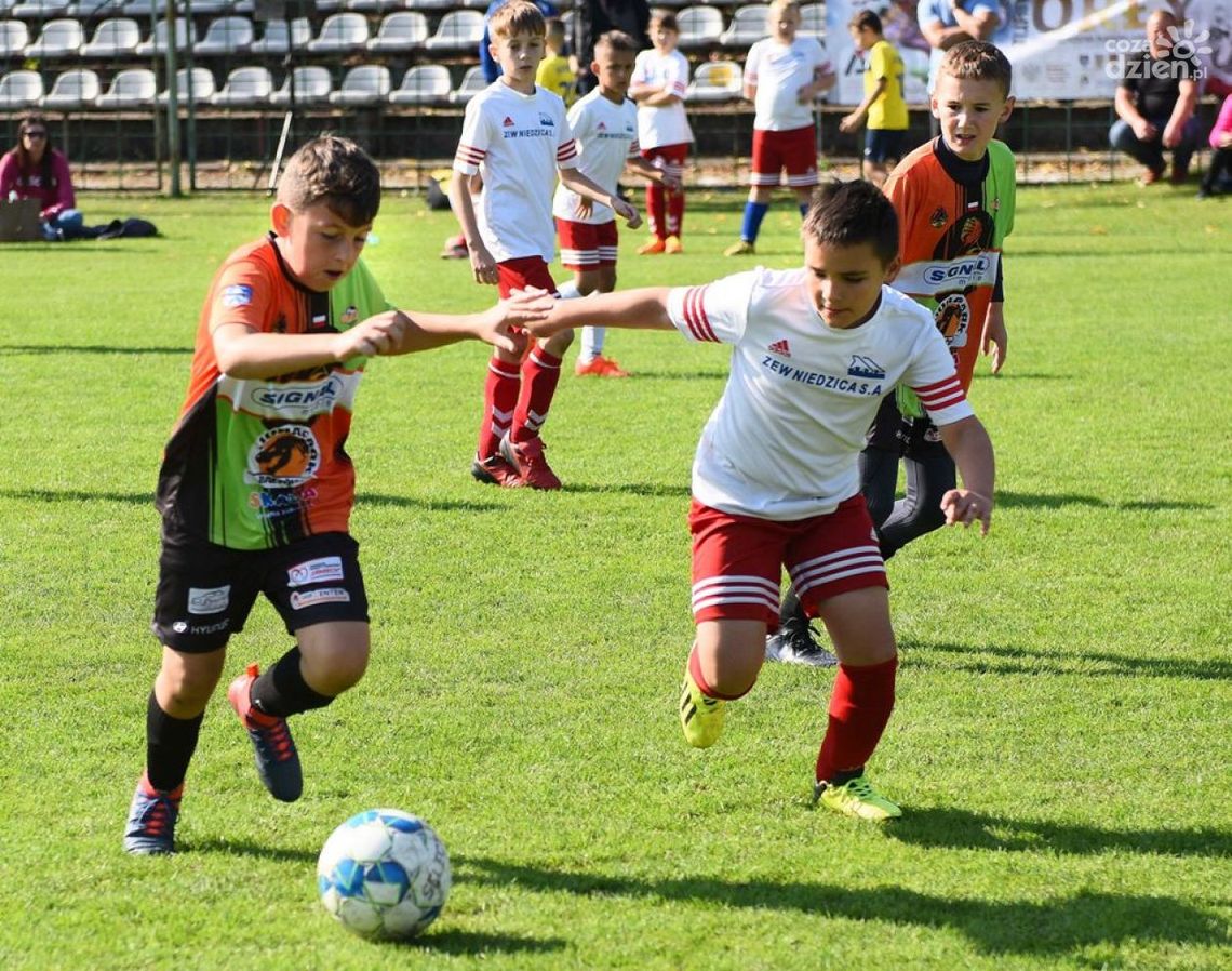 Świętokrzyskie Orły 2022! Turniej piłkarski zbliża się wielkimi krokami