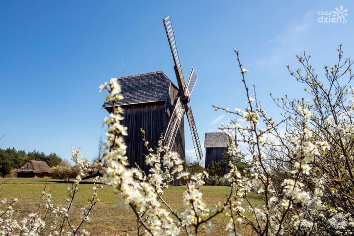 Świętokrzyskie ze wsparciem na kulturę w sieci