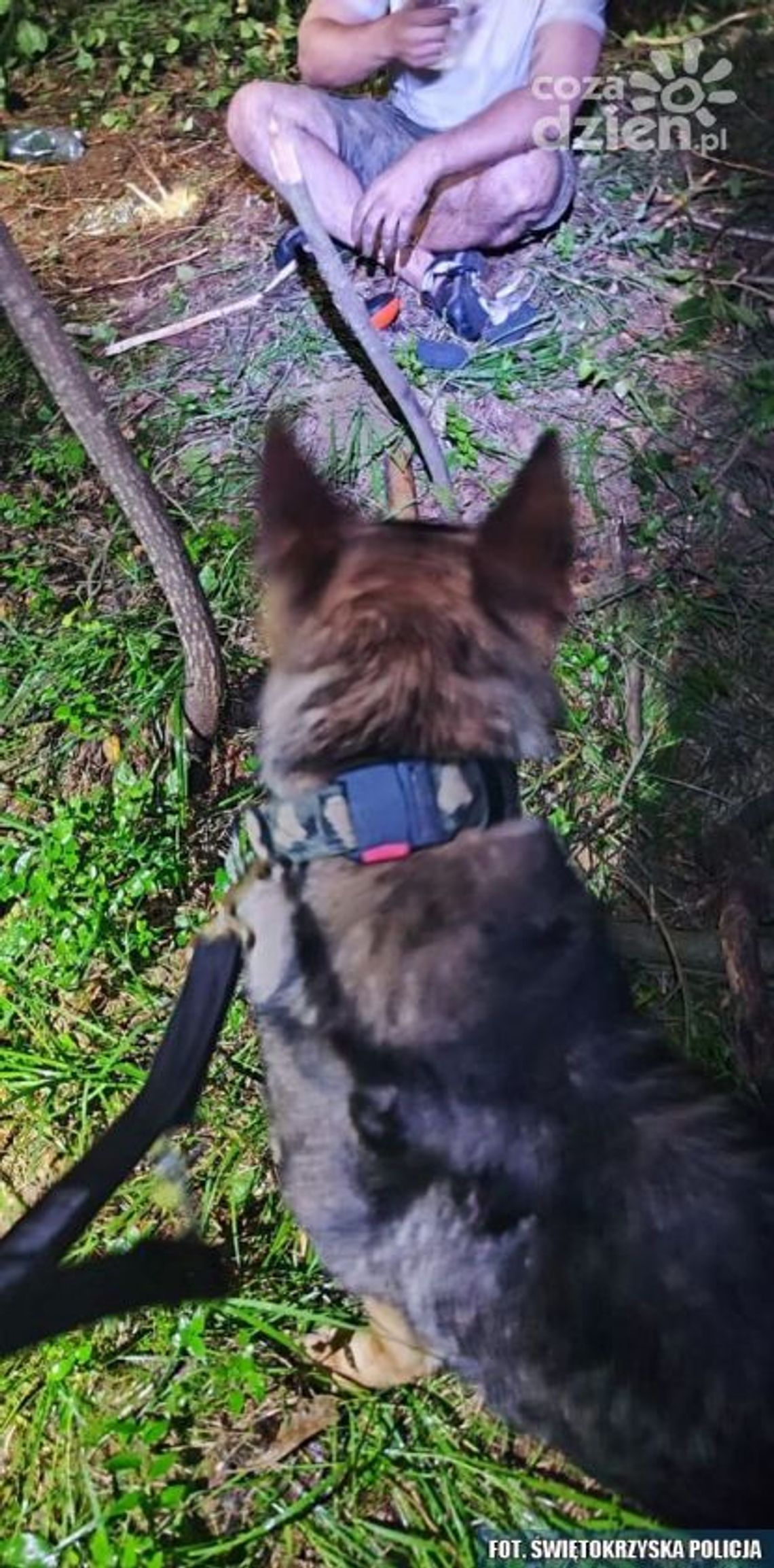 Szczęśliwy trop Szczęśliwy trop